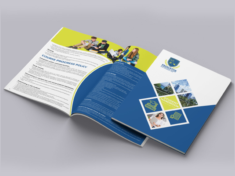 Princeton International College Case Study Image